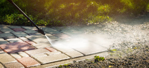 Best Animal Enclosure Cleaning  in Country Clu, FL